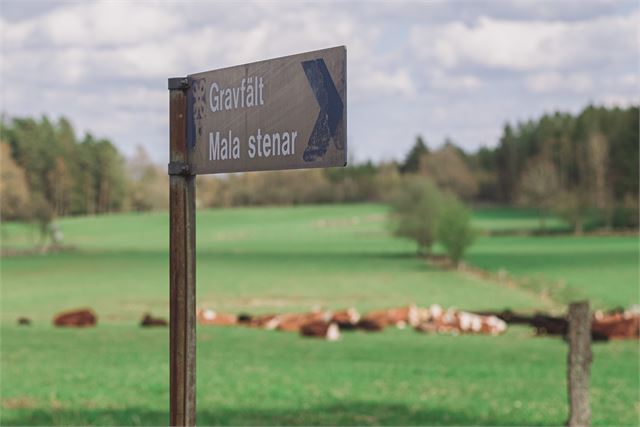 Bild från den befintliga webbplatsens kommunavsnitt